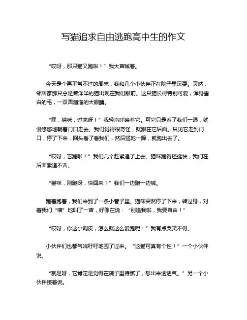 写猫追求自由逃跑高中生的作文