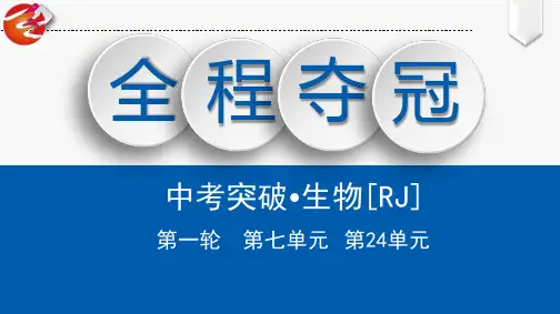 初中生物中考复习 第24单元 生命起源和生物进化