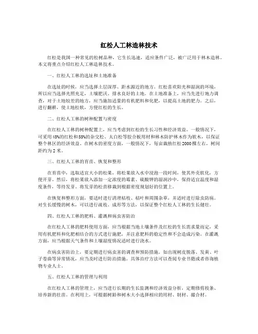 红松人工林造林技术