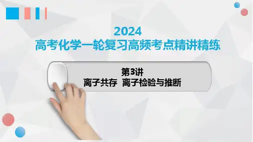 第03讲+离子共存+离子检验与推断-2024年高考化学一轮复习高频考点精讲(新教材新高考)