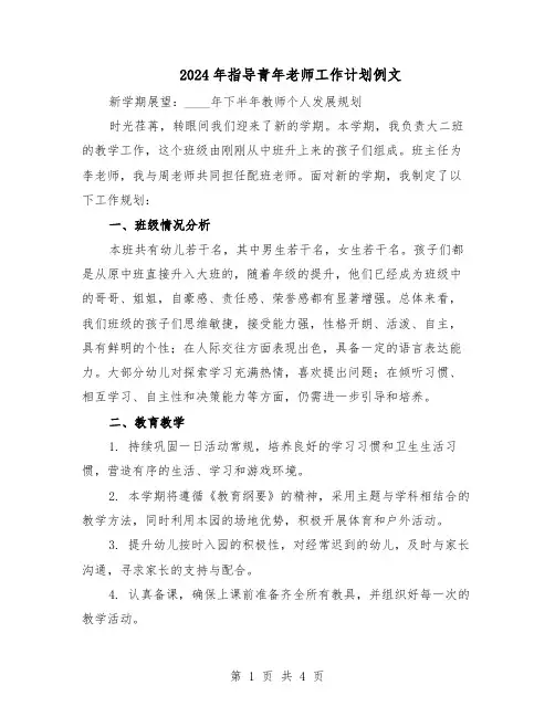 2024年指导青年老师工作计划例文（二篇）