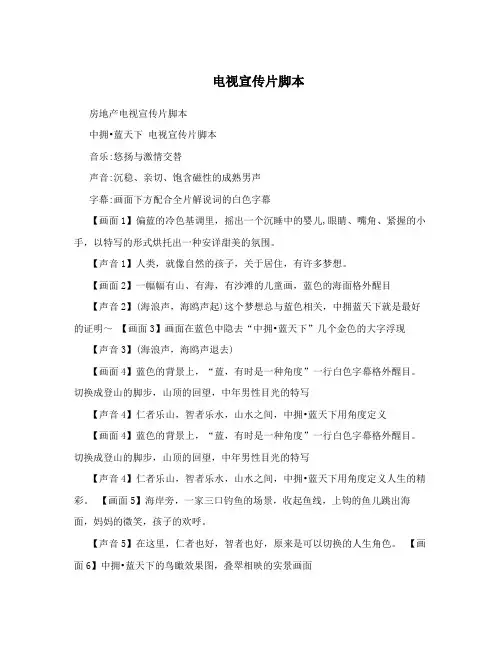 电视宣传片脚本