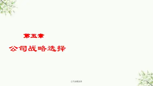 公司战略选择课件