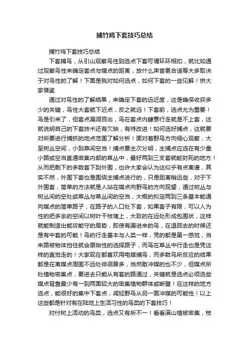 捕竹鸡下套技巧总结