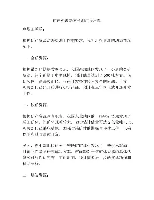 矿产资源动态检测汇报材料