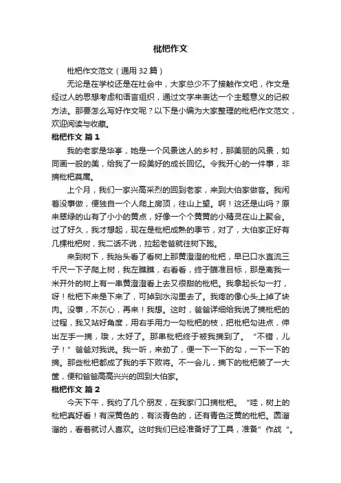 枇杷作文范文（通用32篇）