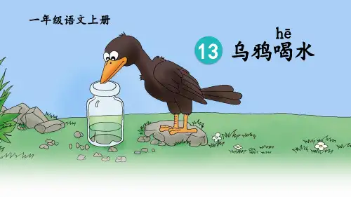 乌鸦喝水第二课时完整版PPT课件