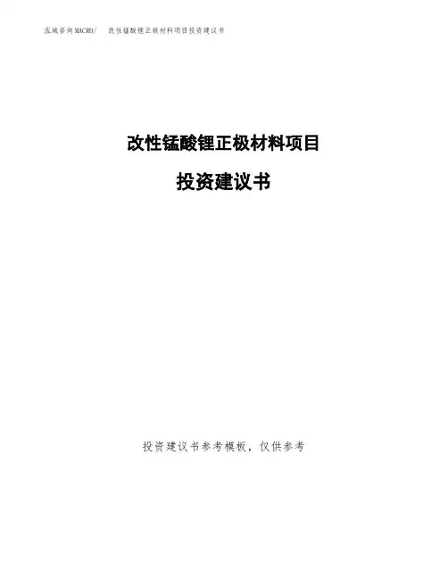 改性锰酸锂正极材料项目投资建议书