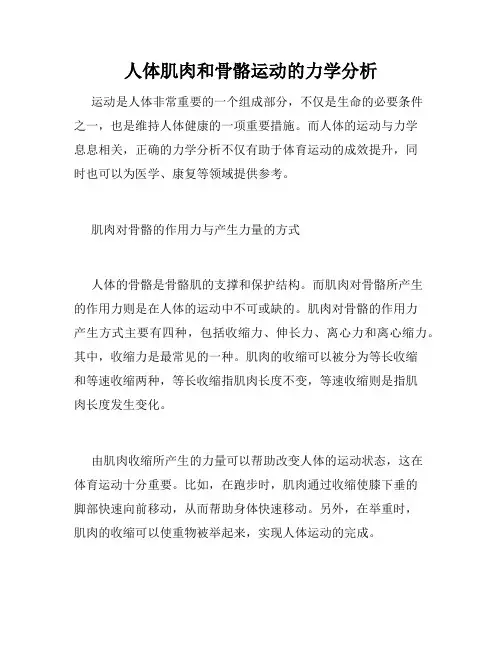 人体肌肉和骨骼运动的力学分析