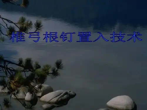 椎弓根钉置入技术PPT课件
