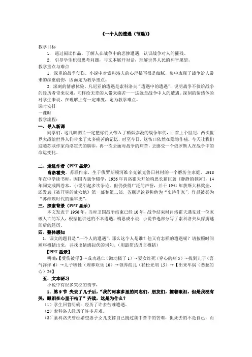 《一个人的遭遇》教案