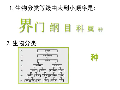 人教版八上六单元二认识生物的多样性共张精品PPT课件