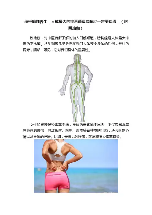 秋季瑜伽养生，人体最大的排毒通道膀胱经一定要疏通！（附阴瑜伽）