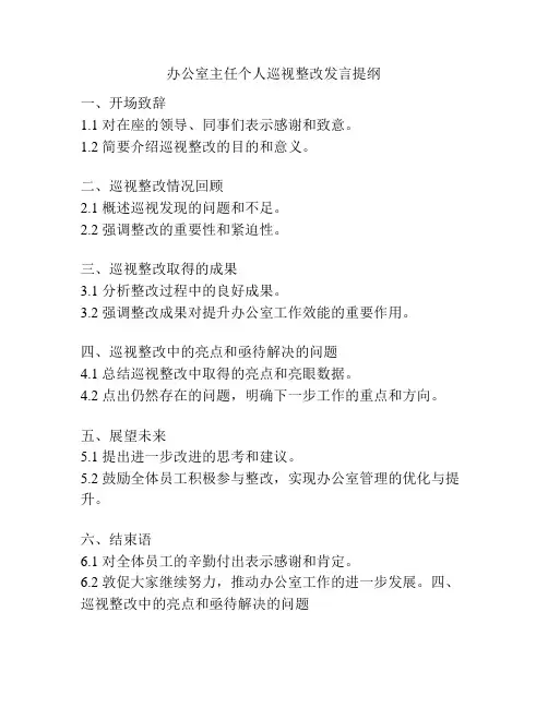 办公室主任个人巡视整改发言提纲
