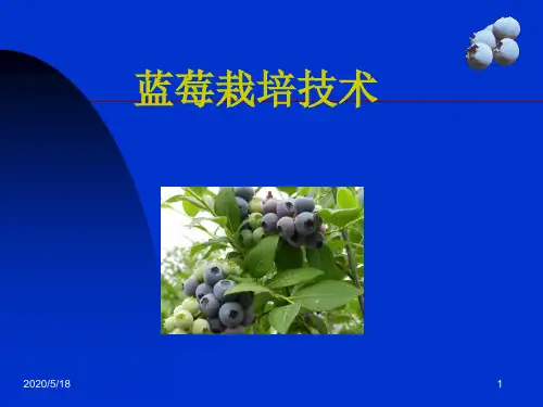 蓝莓栽培技术PPT课件