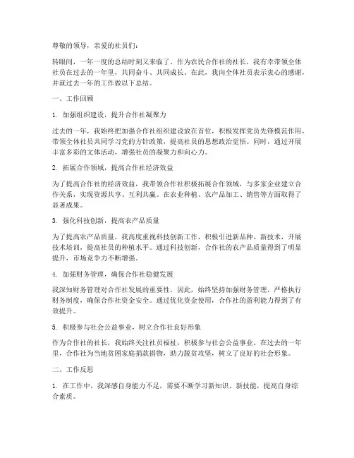 农民合作社社长个人工作总结
