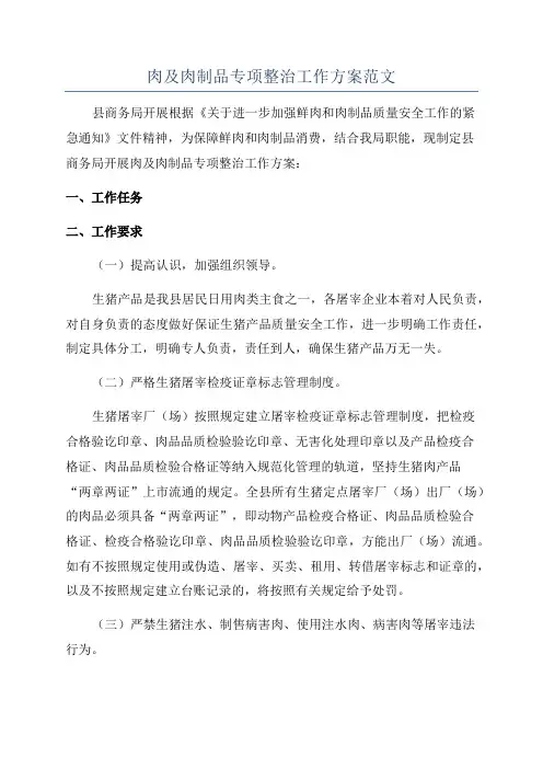肉及肉制品专项整治工作方案范文