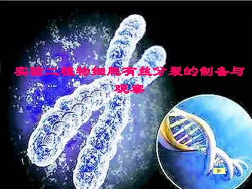 实验二植物细胞有丝分裂的制备及观察
