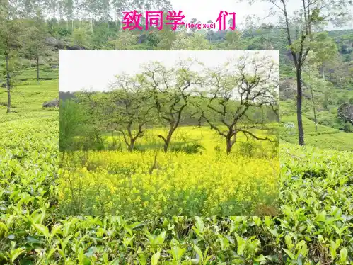 七年级生物上册《致同学们》课件1 