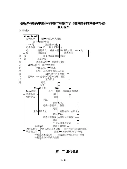最新沪科版高中生命科学第二册第六章《遗传信息的传递和表达》复习提纲