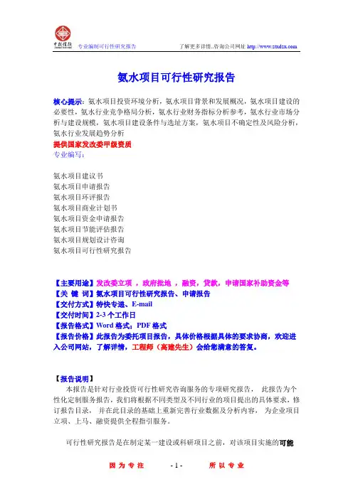 氨水项目可行性研究报告