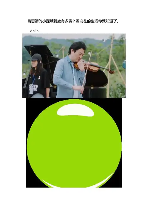 吕思清的小提琴到底有多贵？看向往的生活你就知道了。