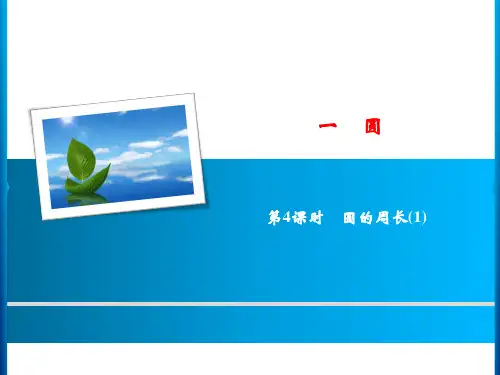 北师大版 六年级数学上册 1 第4课时 圆的周长(1) 
