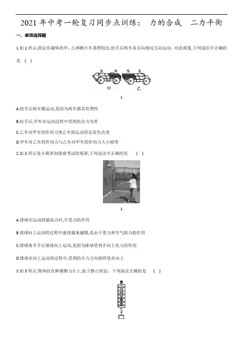 2021年中考一轮复习同步点训练： 力的合成 二力平衡