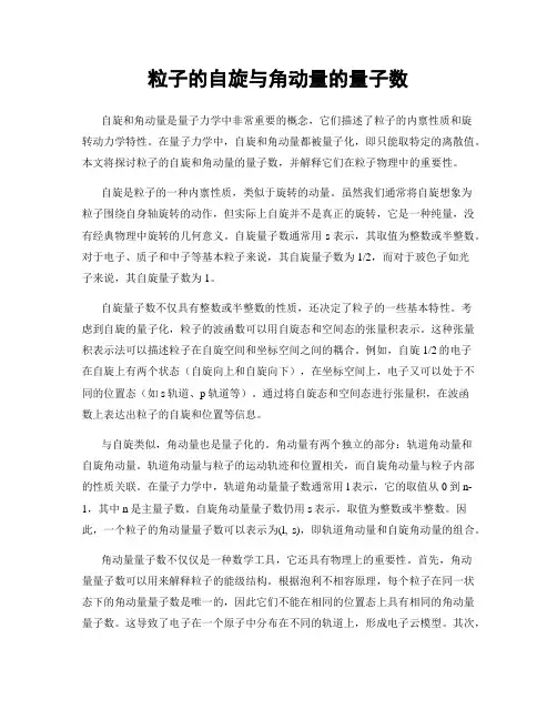 粒子的自旋与角动量的量子数