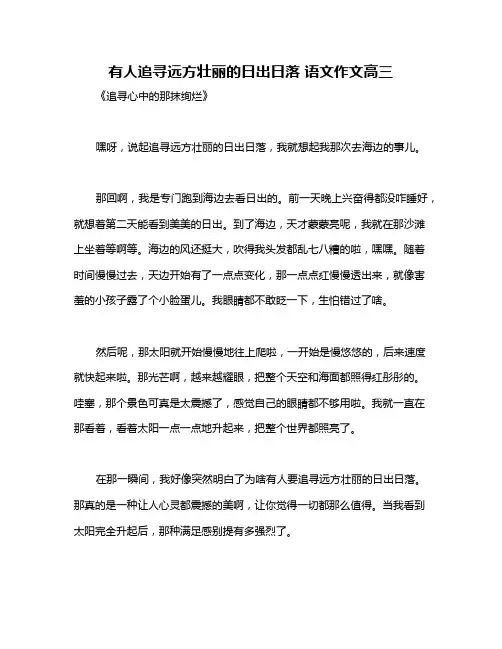 有人追寻远方壮丽的日出日落 语文作文高三