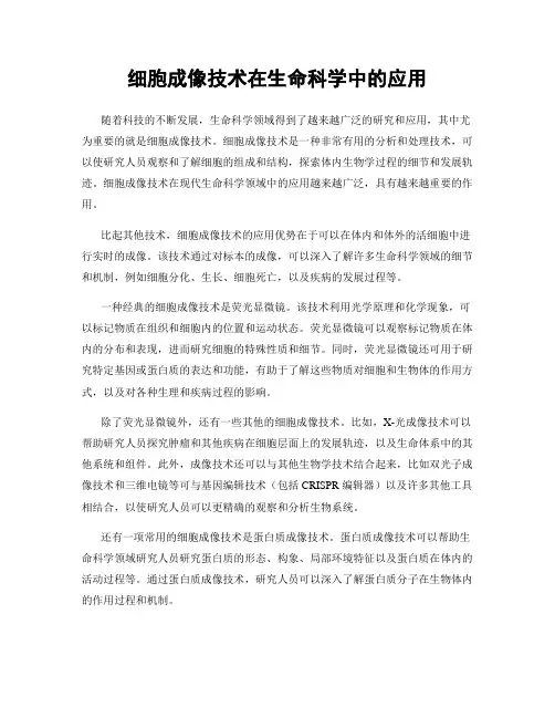 细胞成像技术在生命科学中的应用