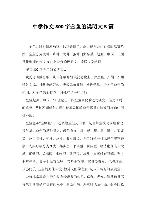 (说明文)中学作文800字金鱼的说明文5篇