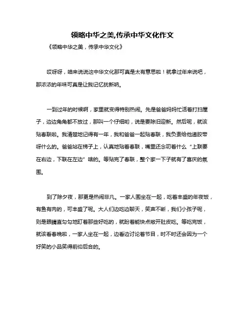 领略中华之美,传承中华文化作文