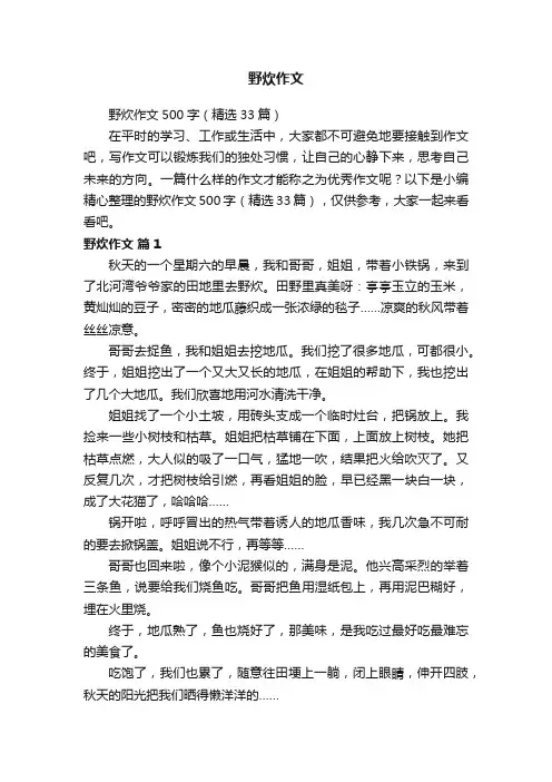 野炊作文500字（精选33篇）