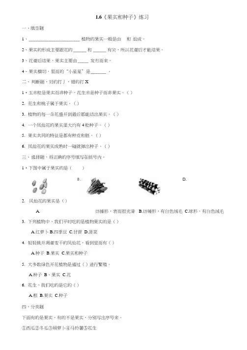 教科版四年级科学下册1.6《果实和种子》作业设计