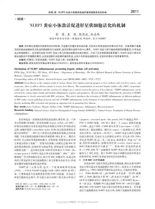 ＮＬＲＰ３炎症小体激活促进肝星状细胞活化的机制