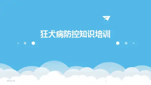 狂犬病防控知识培训(2024)