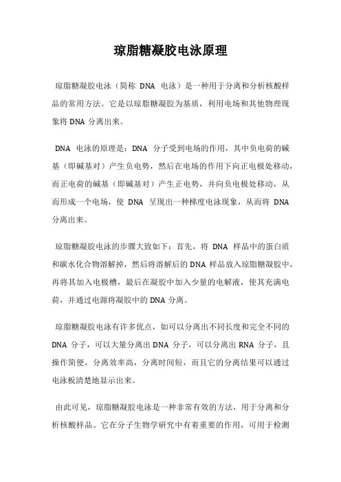 琼脂糖凝胶电泳原理
