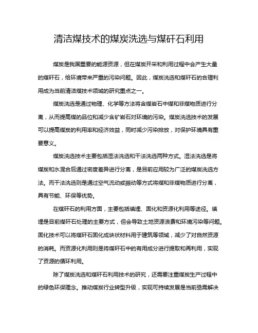 清洁煤技术的煤炭洗选与煤矸石利用