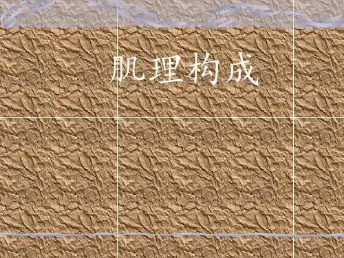 肌理构成 ppt课件