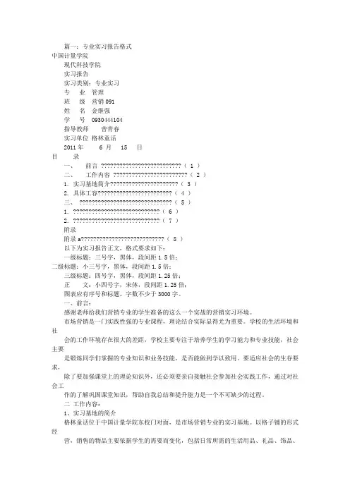 专业实践报告格式(共8篇)