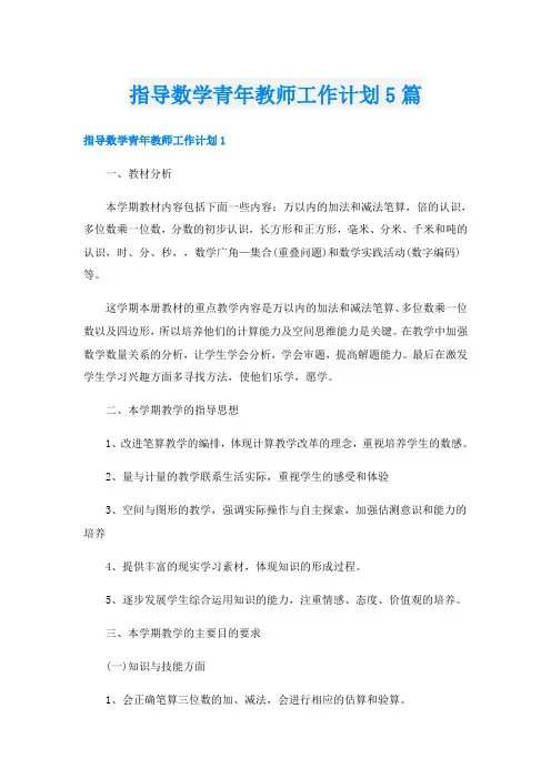 指导数学青年教师工作计划5篇