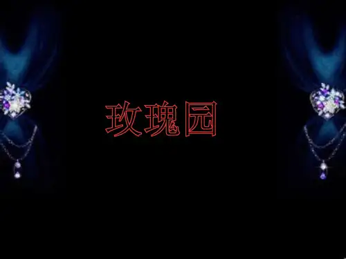 玫瑰园案例分析