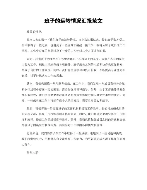 班子的运转情况汇报范文