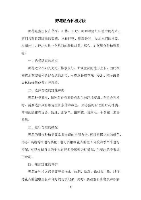 野花组合种植方法