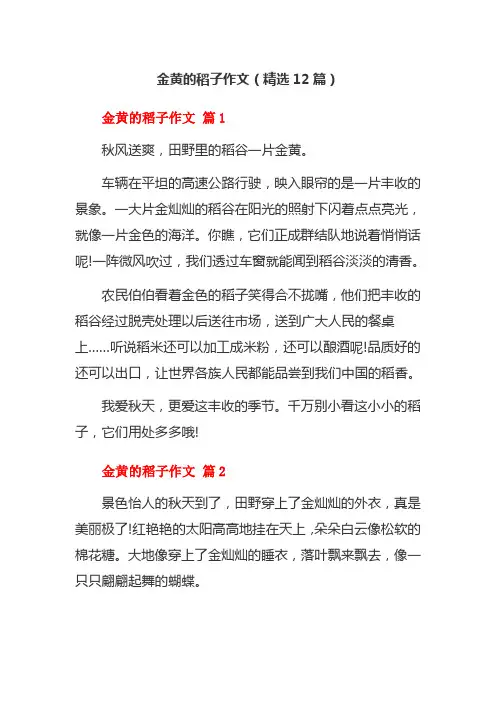 金黄的稻子作文(精选12篇)
