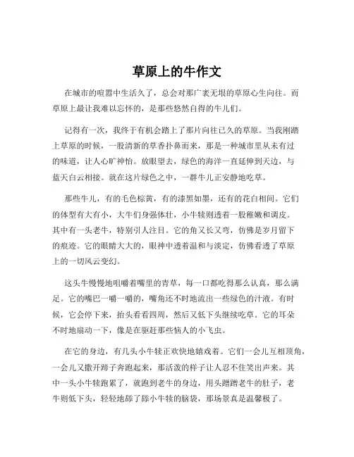 草原上的牛作文