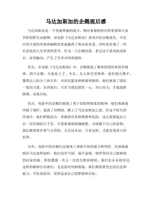 马达加斯加的企鹅观后感