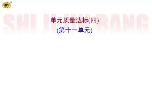 最新人教版九年级下册化学第十一单元测试试卷及答案