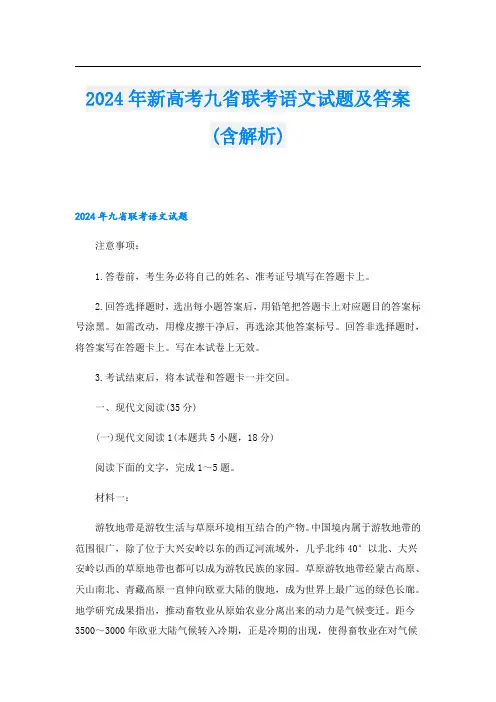 2024年新高考九省联考语文试题及答案(含解析)